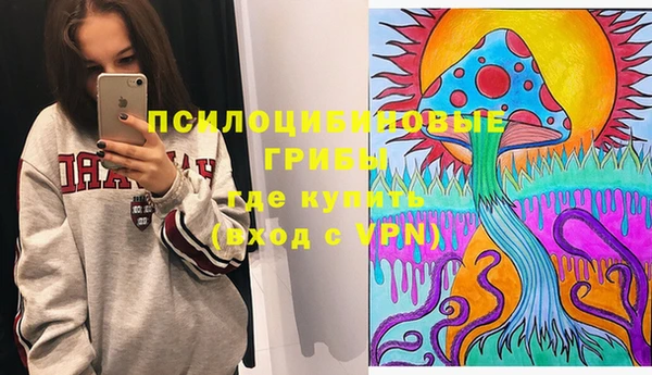 мяу мяу мука Кинешма